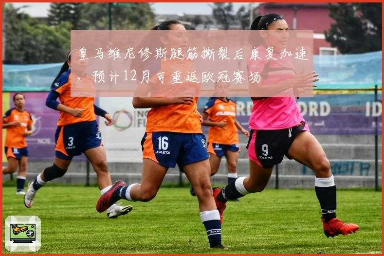 皇马维尼修斯腿筋撕裂后康复加速,预计12月可重返欧冠赛场