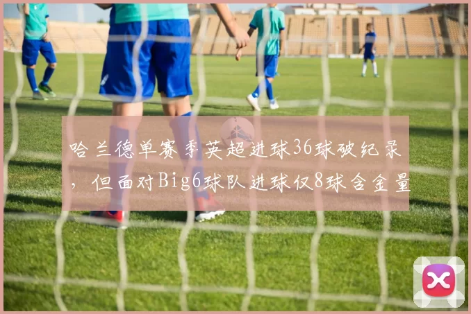 哈兰德单赛季英超进球36球破纪录,但面对Big6球队进球仅8球含金量遭批