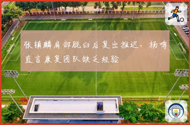 张镇麟肩部脱臼后复出推迟，杨鸣直言康复团队缺乏经验