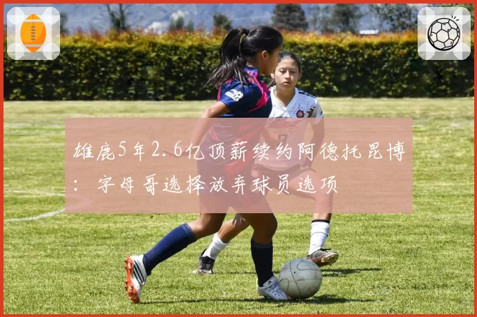 雄鹿5年2.6亿顶薪续约阿德托昆博：字母哥选择放弃球员选项