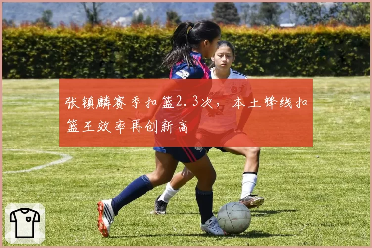 张镇麟赛季扣篮2.3次，本土锋线扣篮王效率再创新高
